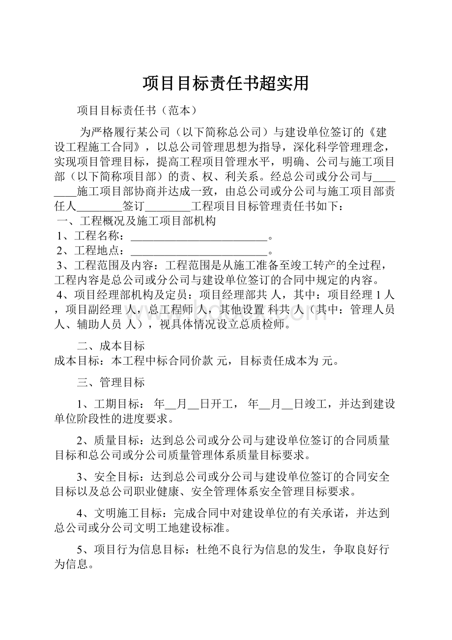 项目目标责任书超实用.docx