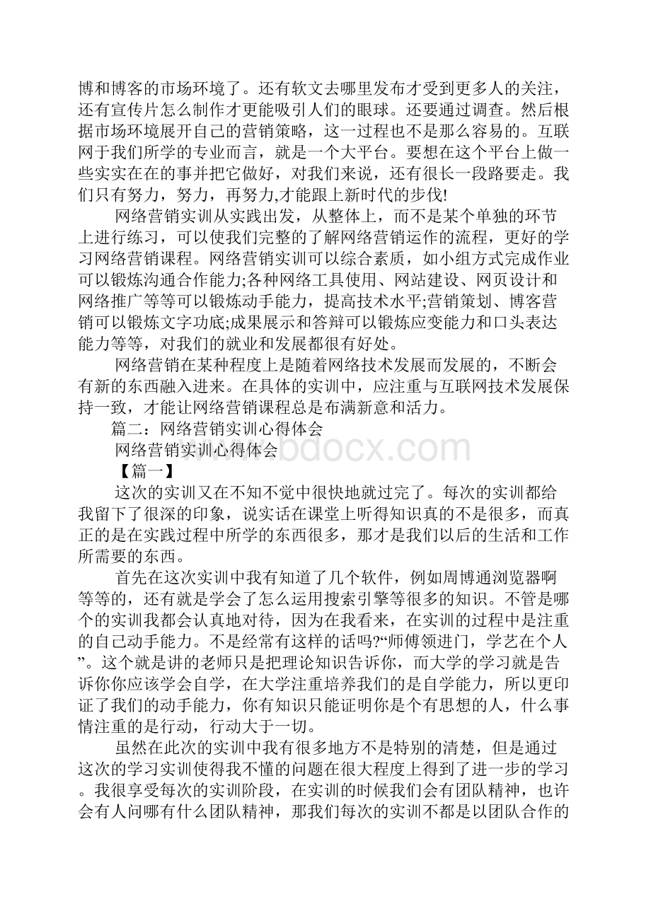 网络营销策划实训总结.docx_第3页