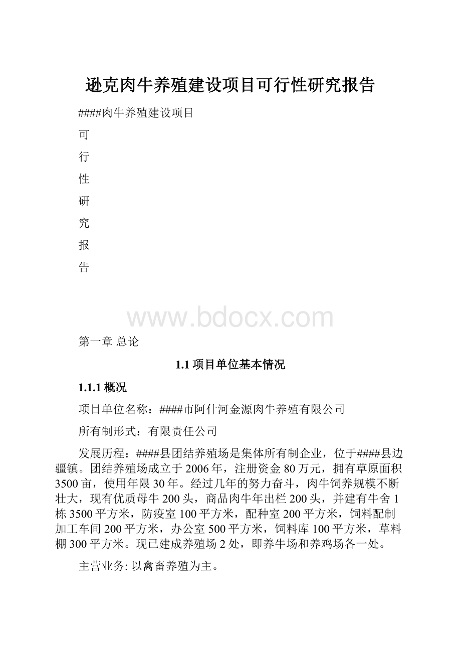 逊克肉牛养殖建设项目可行性研究报告.docx_第1页