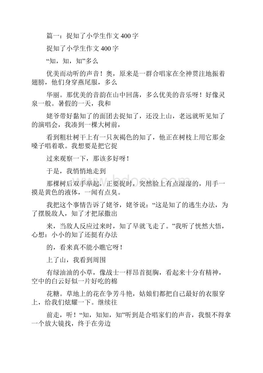 知了和蚂蚁作文.docx_第2页