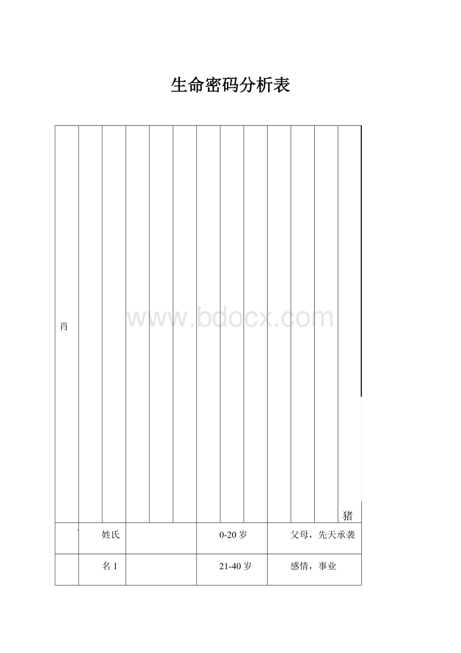 生命密码分析表.docx_第1页