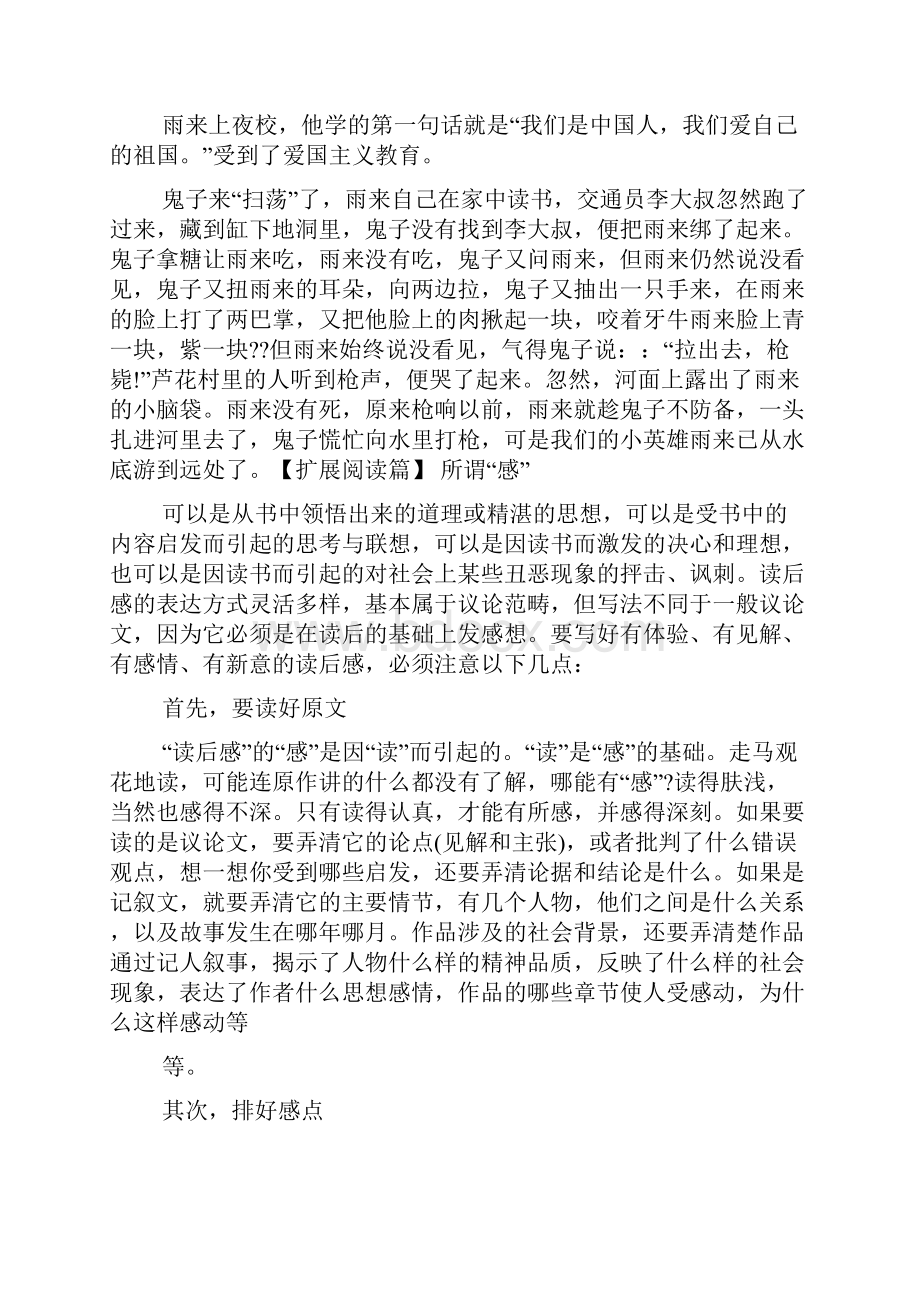 爱国故事读后感0.docx_第2页