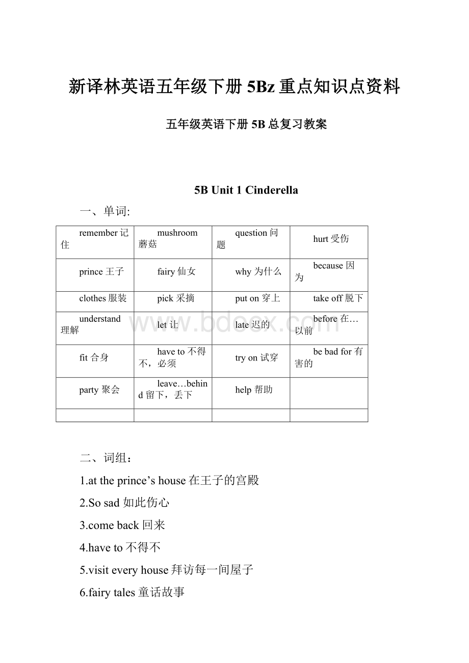 新译林英语五年级下册5Bz重点知识点资料.docx