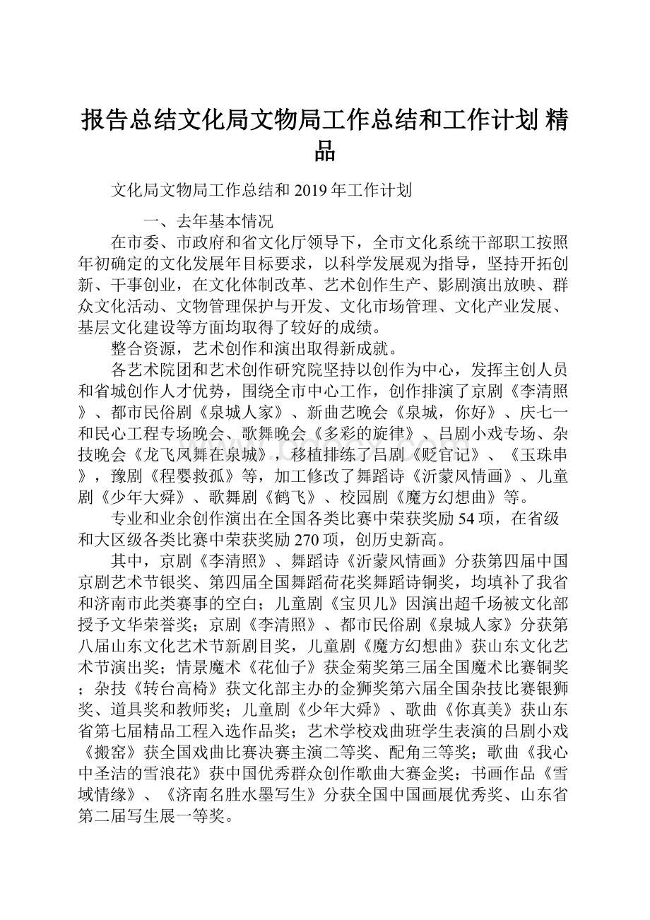 报告总结文化局文物局工作总结和工作计划 精品.docx