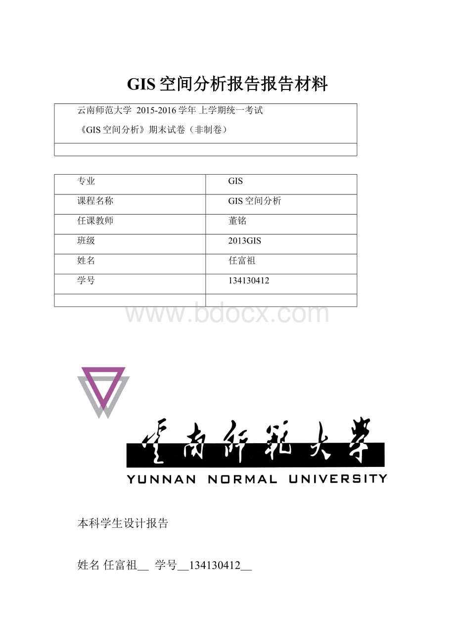 GIS空间分析报告报告材料.docx_第1页