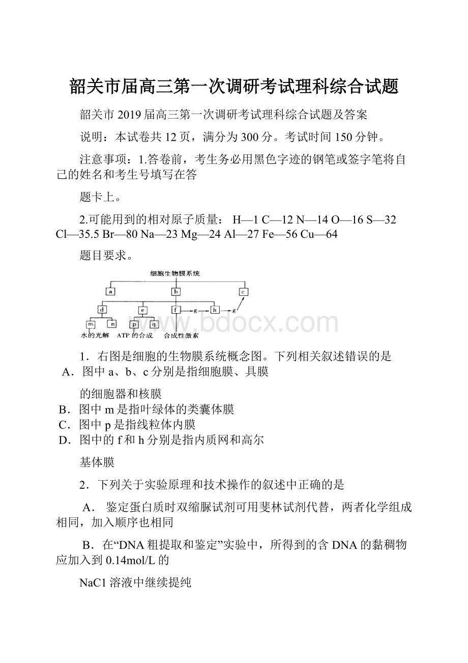 韶关市届高三第一次调研考试理科综合试题.docx