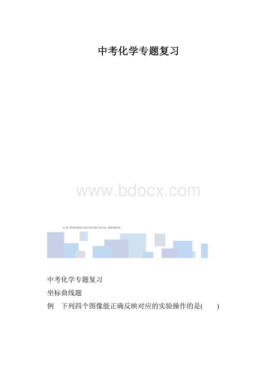 中考化学专题复习.docx