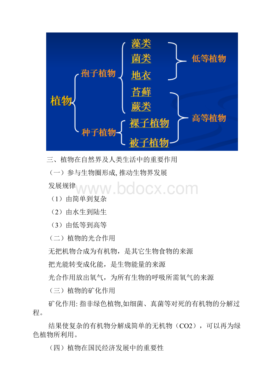 植物学考研笔记超详细.docx_第2页