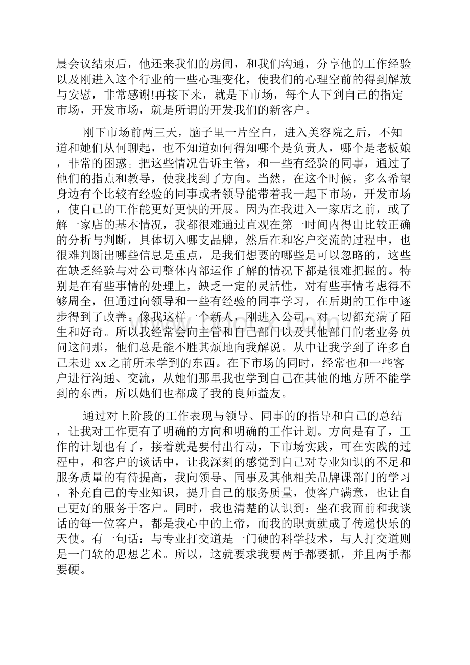 白酒业务员年终工作总结3篇.docx_第2页