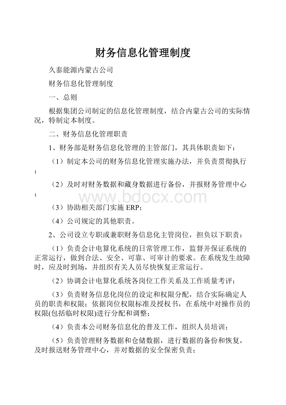 财务信息化管理制度.docx_第1页