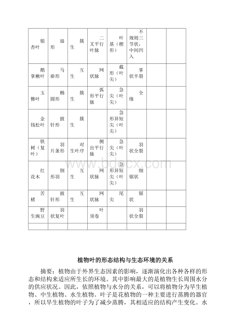 植物叶的形态结构与环境关系.docx_第2页