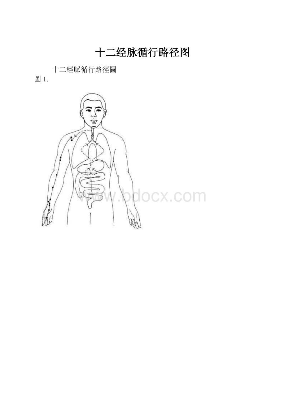 十二经脉循行路径图.docx_第1页