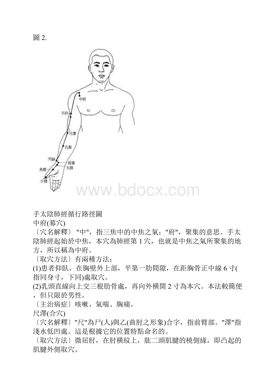 十二经脉循行路径图.docx_第2页