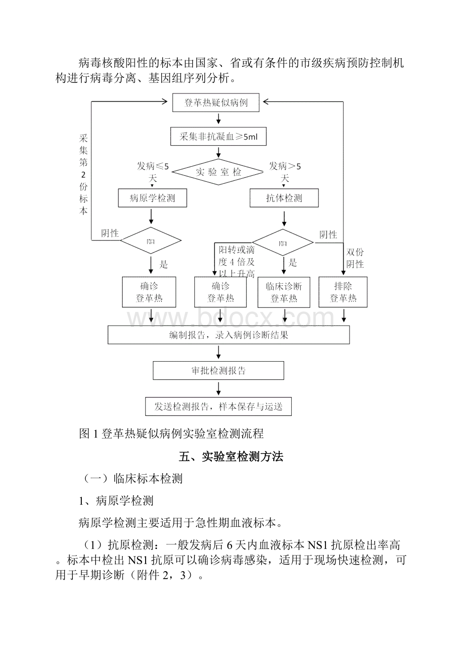 登革热实验室检测规范指南规范doc.docx_第3页