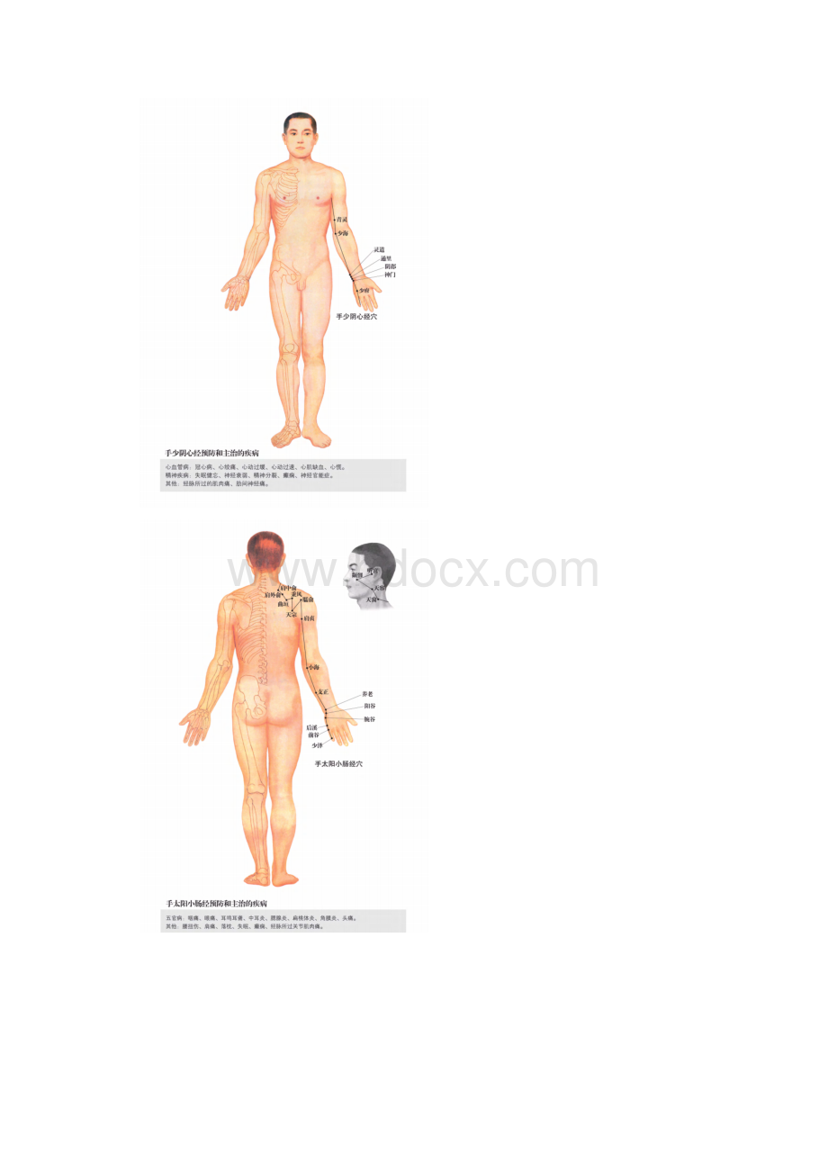 任督二脉及十二经脉图清晰版+蹲墙功打通任督二脉.docx_第3页