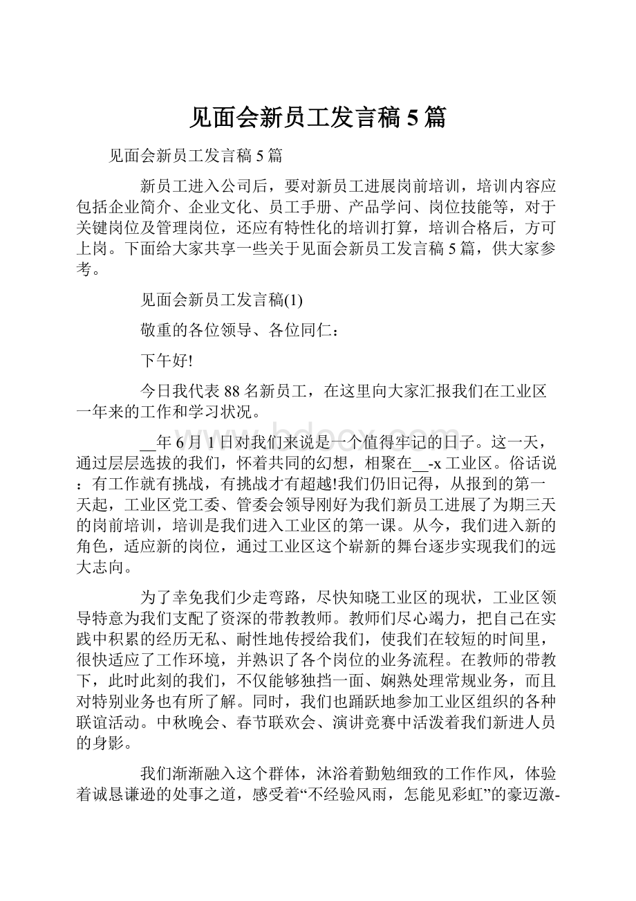 见面会新员工发言稿5篇.docx