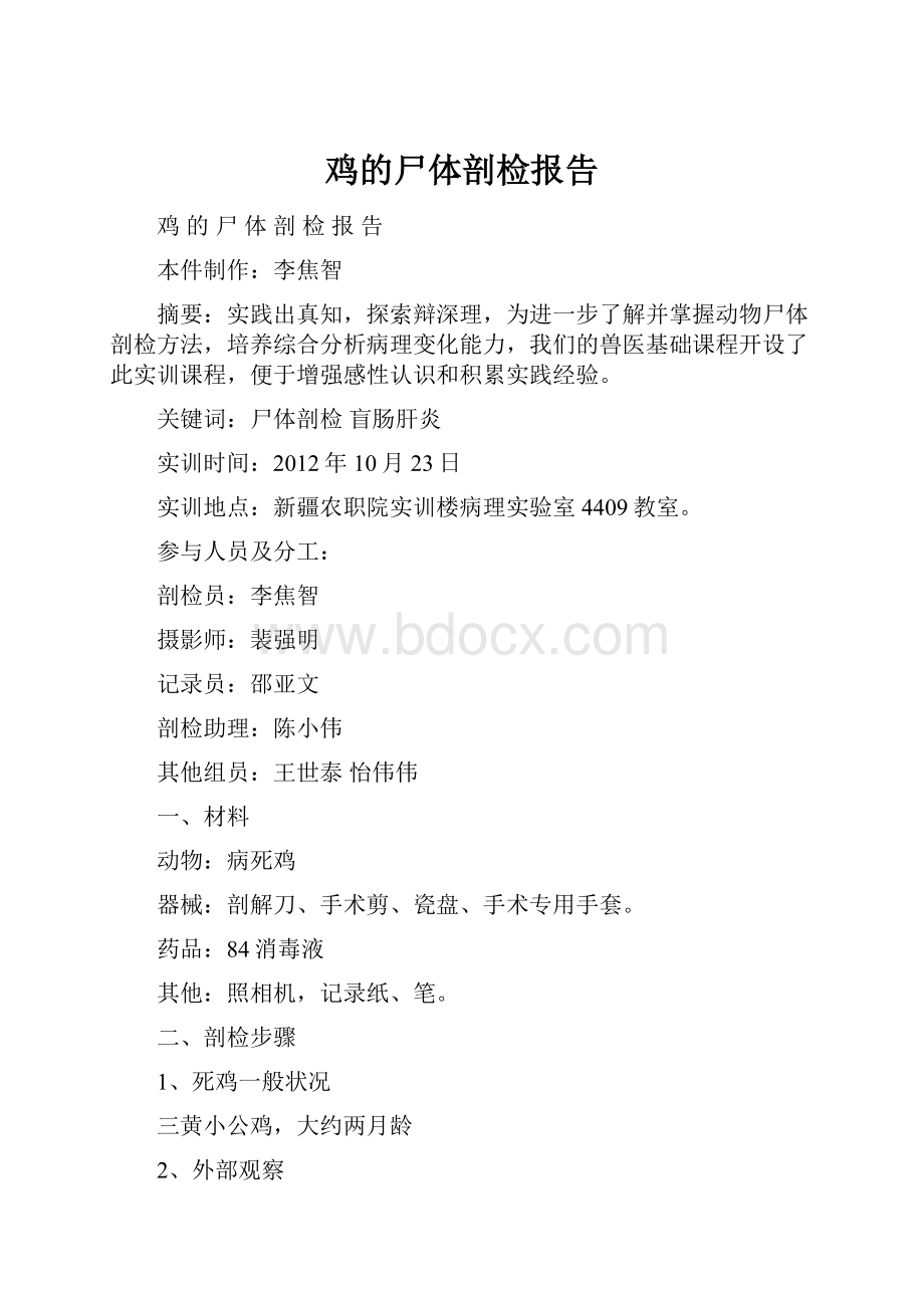 鸡的尸体剖检报告.docx