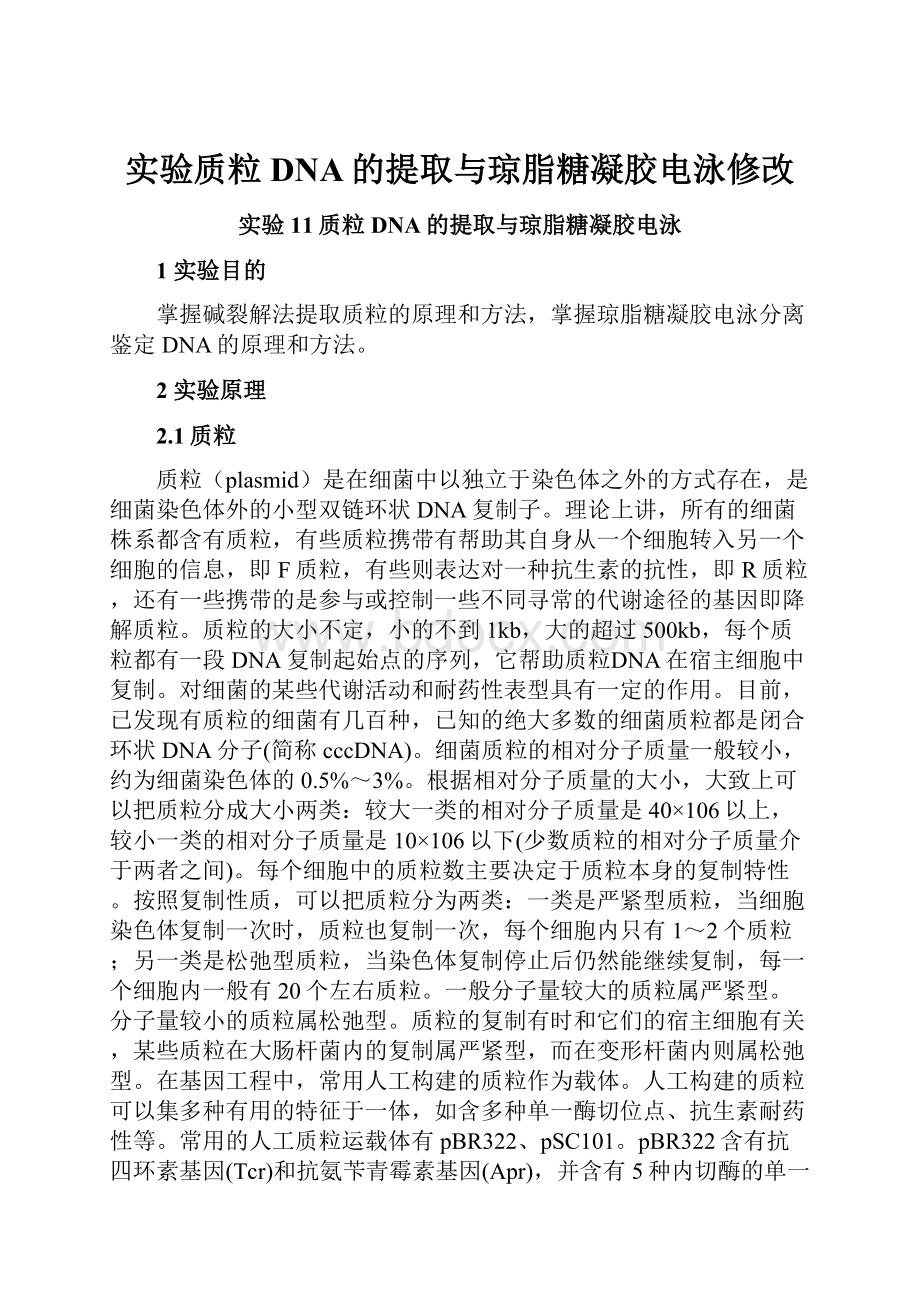 实验质粒DNA的提取与琼脂糖凝胶电泳修改.docx