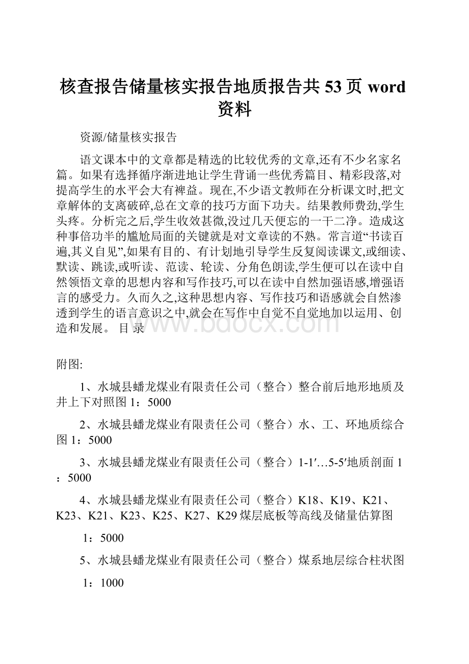 核查报告储量核实报告地质报告共53页word资料.docx_第1页