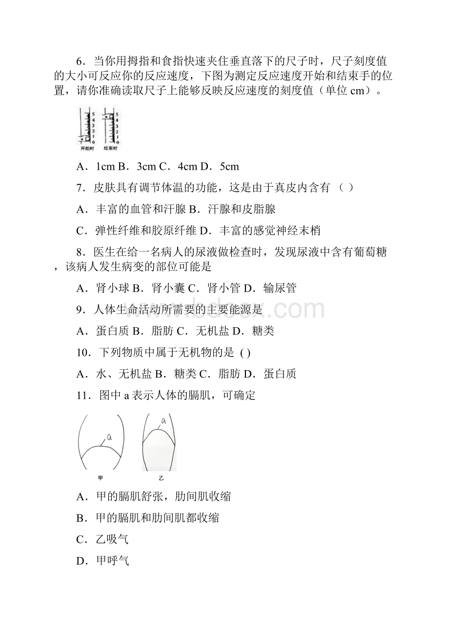 合肥市人教版七年级下册生物期中综合测试题.docx_第2页