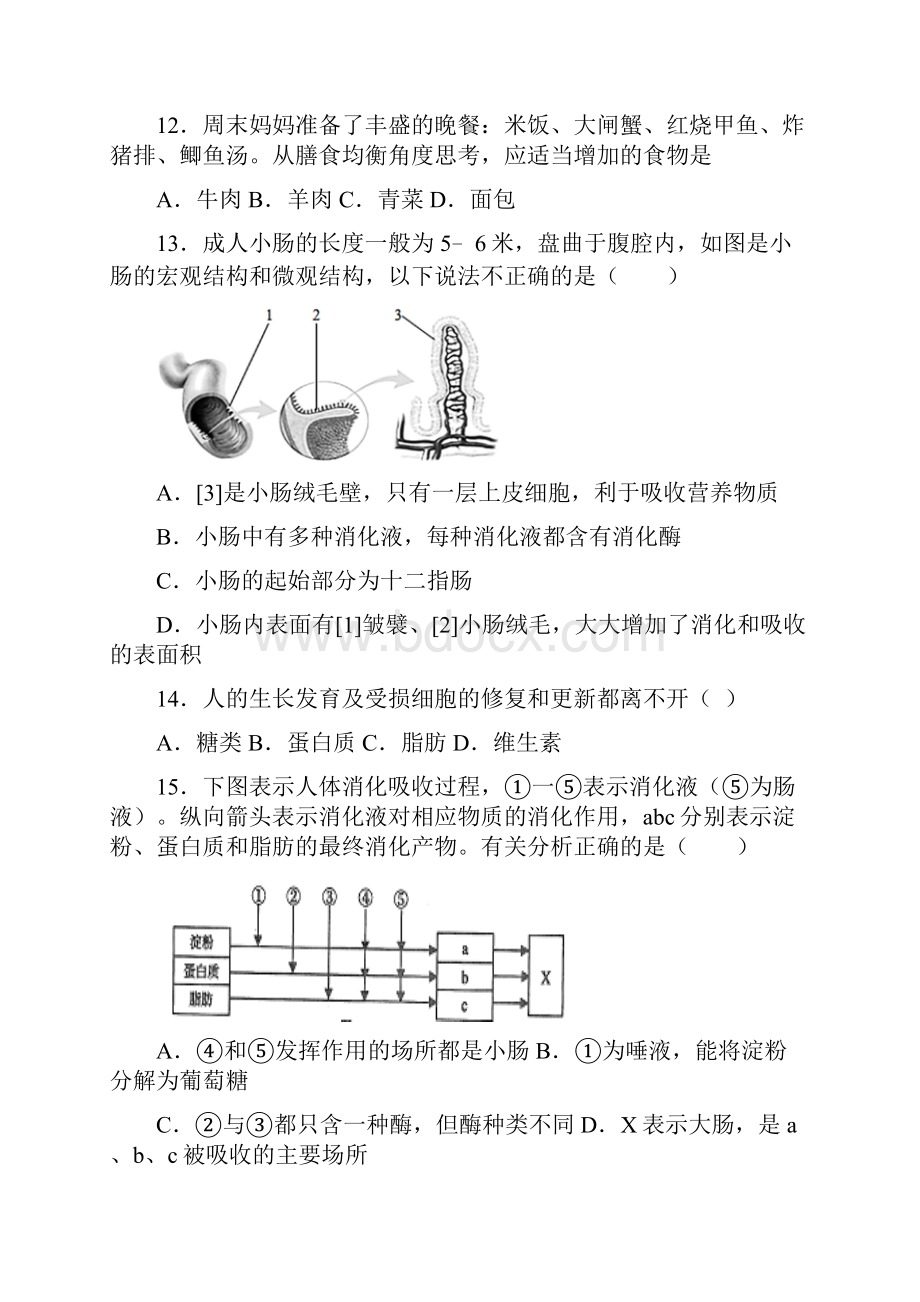 合肥市人教版七年级下册生物期中综合测试题.docx_第3页