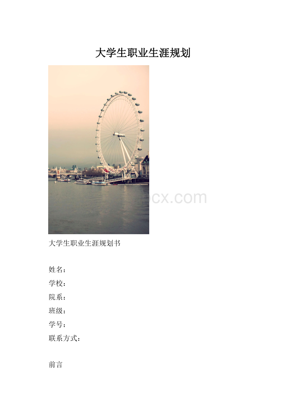 大学生职业生涯规划.docx_第1页