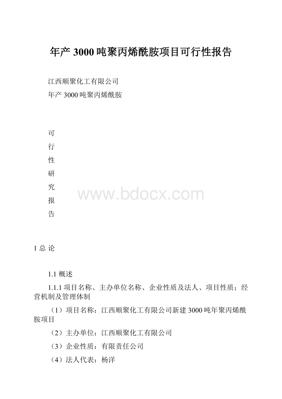 年产3000吨聚丙烯酰胺项目可行性报告.docx