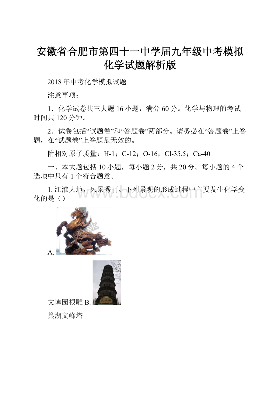 安徽省合肥市第四十一中学届九年级中考模拟化学试题解析版.docx_第1页