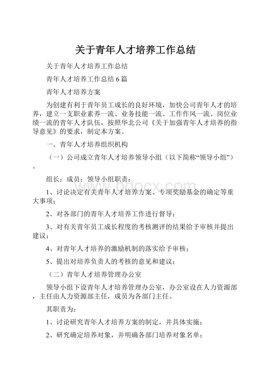 关于青年人才培养工作总结.docx_第1页