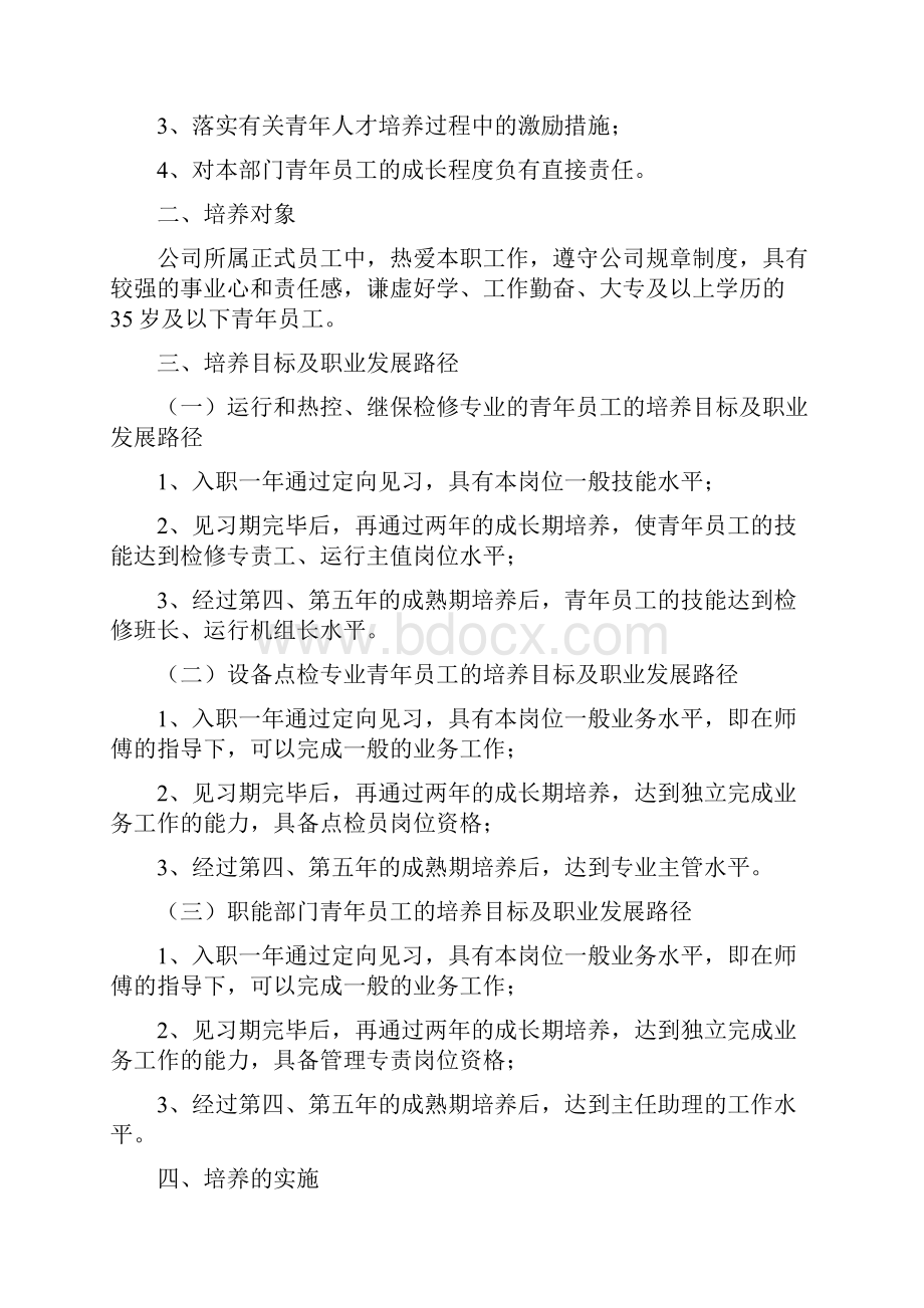 关于青年人才培养工作总结.docx_第2页