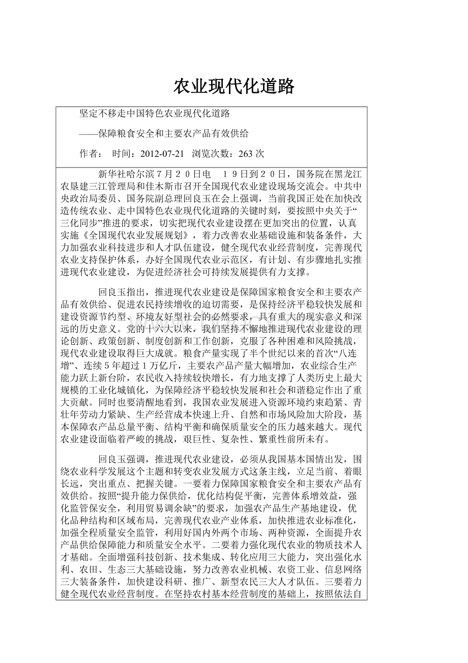 农业现代化道路.docx_第1页