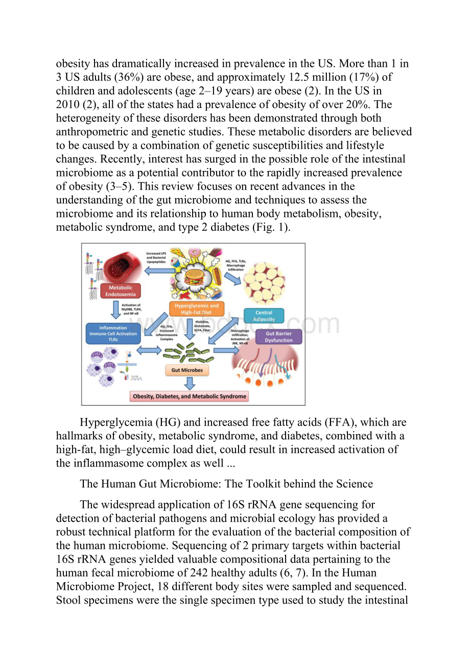 Human Gut Microbiome and Body Metabolism.docx_第2页