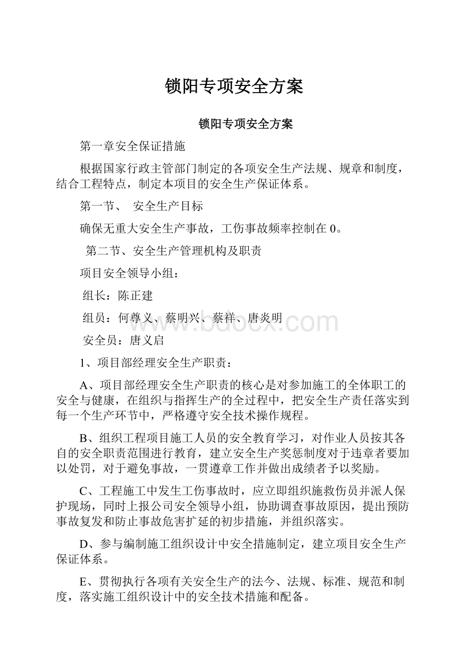 锁阳专项安全方案.docx