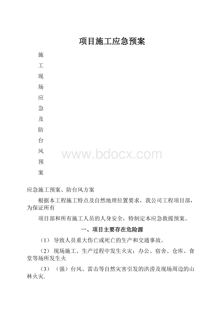 项目施工应急预案.docx_第1页