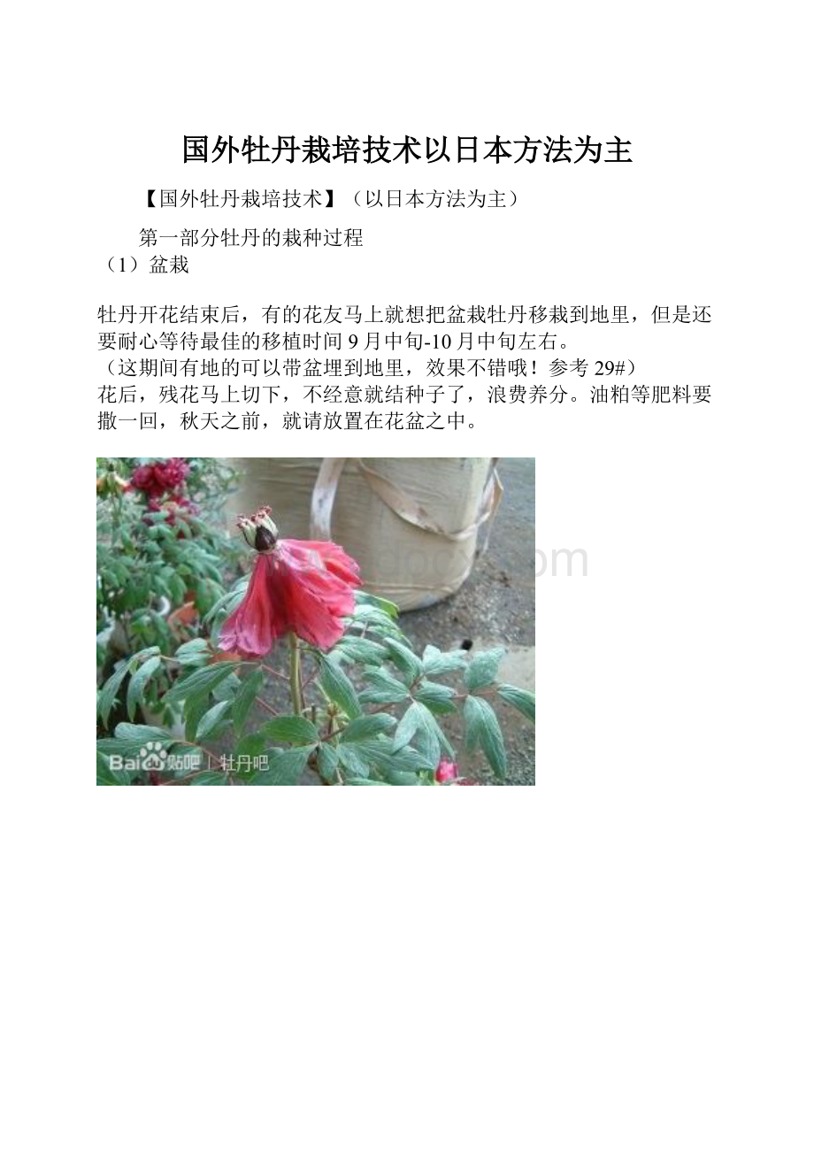 国外牡丹栽培技术以日本方法为主.docx