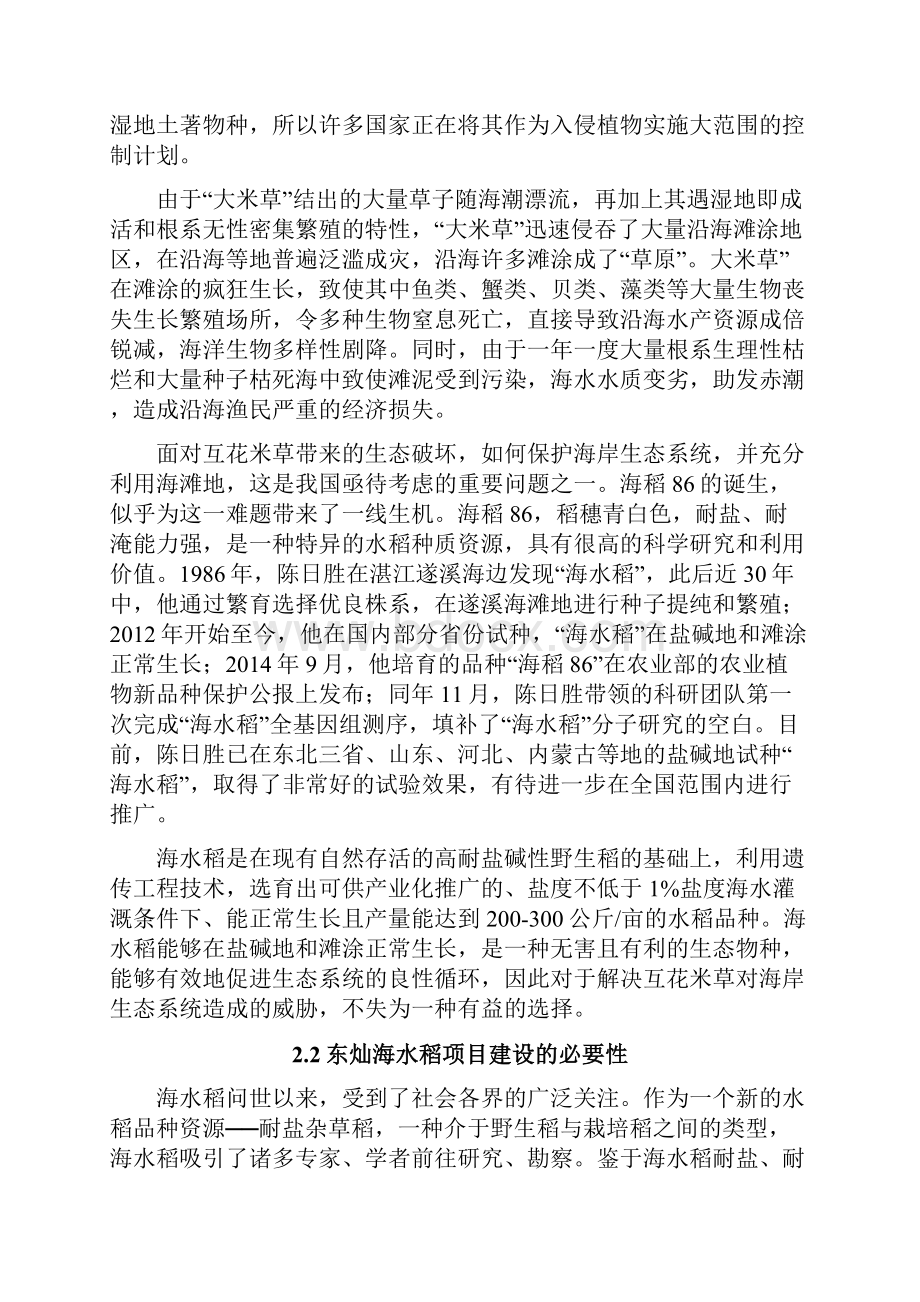 东灿海上水稻项目商业计划书.docx_第3页