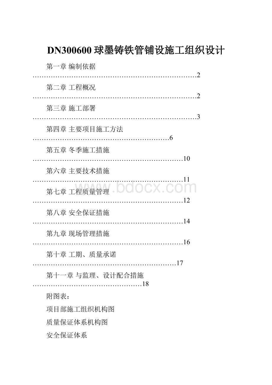 DN300600球墨铸铁管铺设施工组织设计.docx_第1页