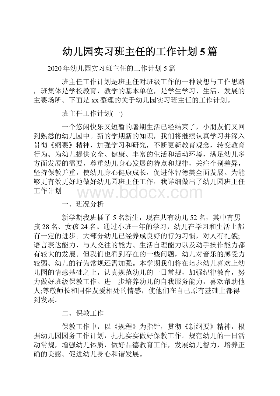 幼儿园实习班主任的工作计划5篇.docx