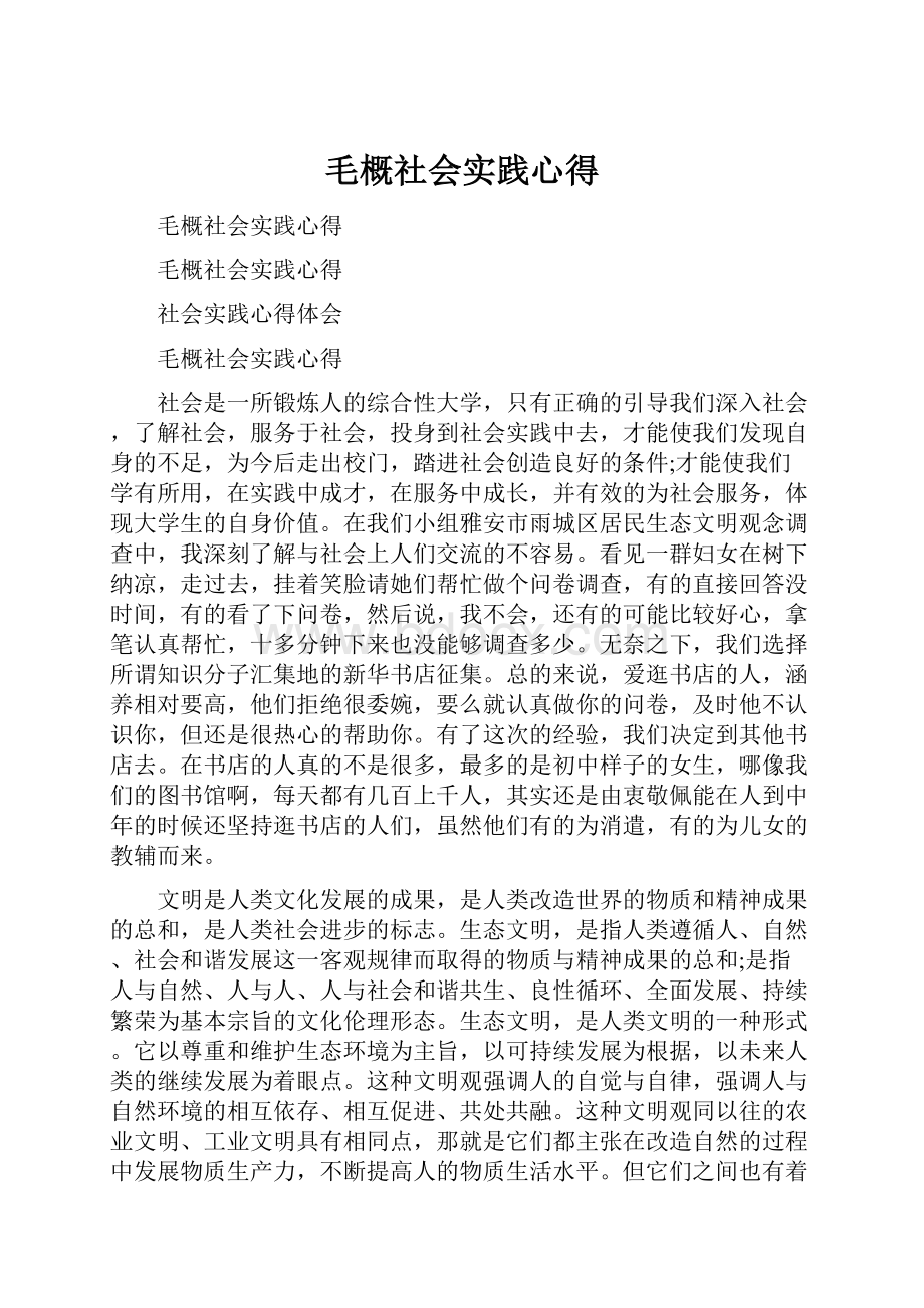 毛概社会实践心得.docx_第1页