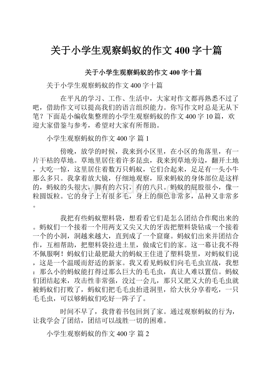 关于小学生观察蚂蚁的作文400字十篇.docx_第1页