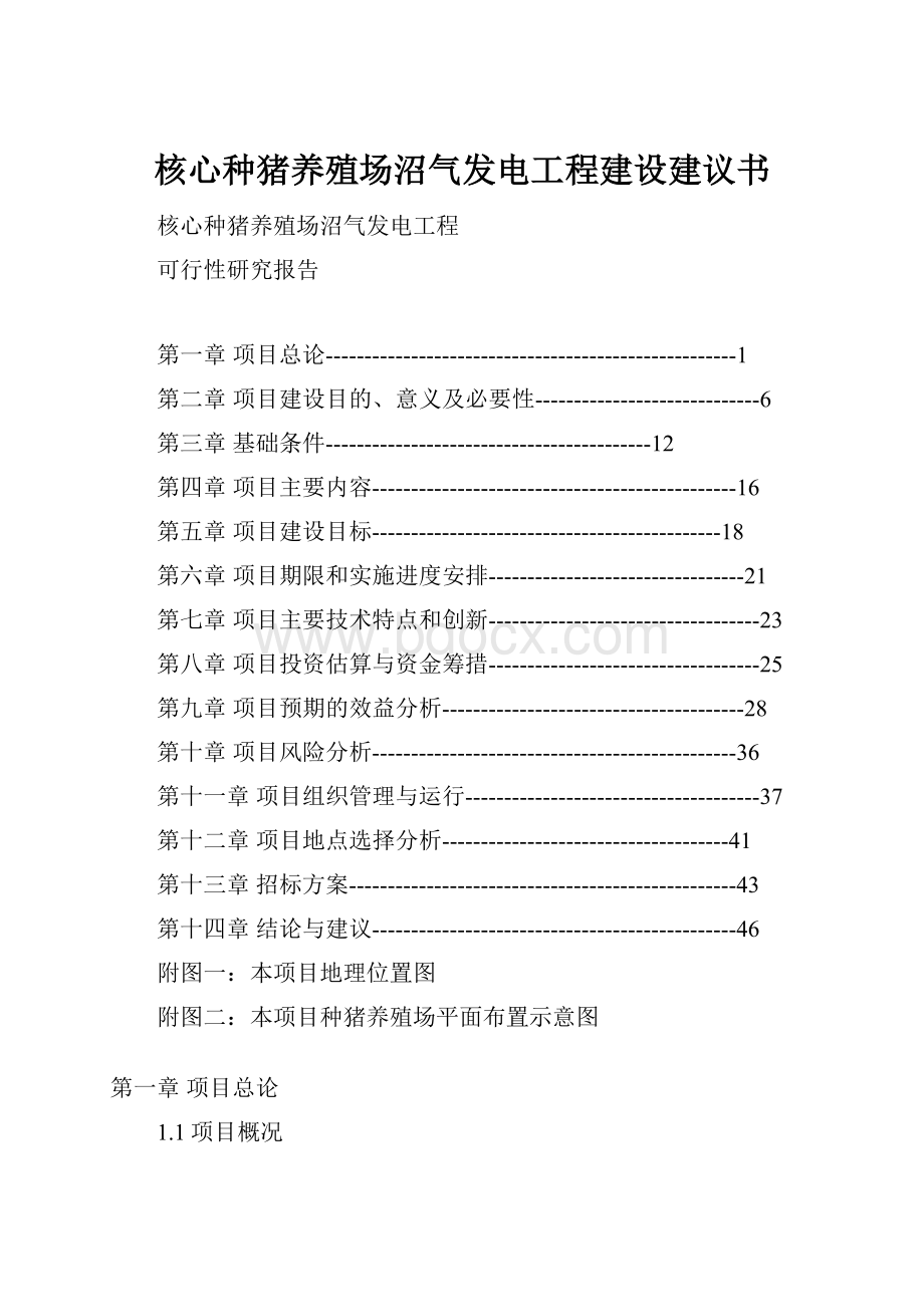 核心种猪养殖场沼气发电工程建设建议书.docx