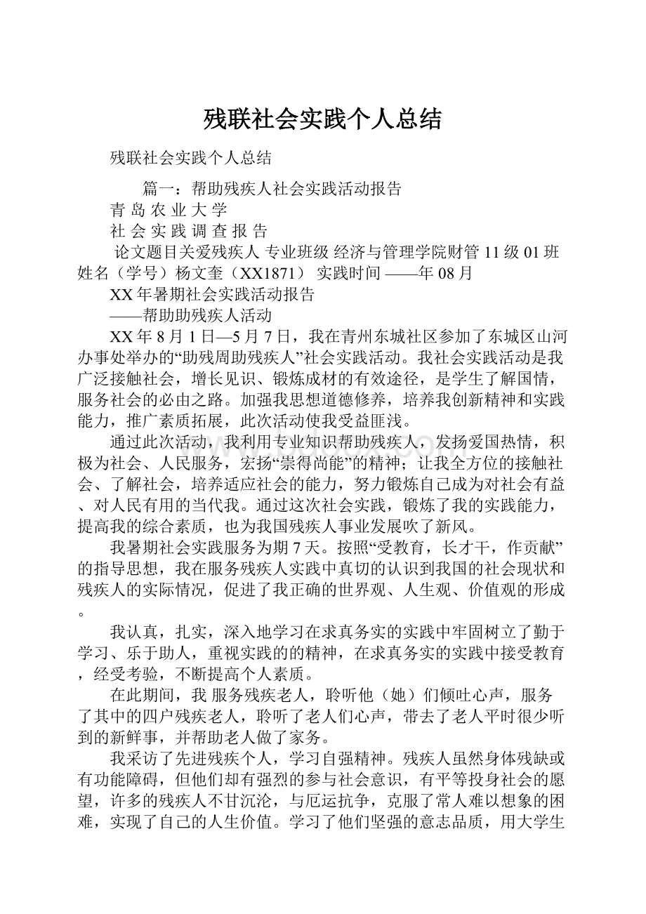 残联社会实践个人总结.docx