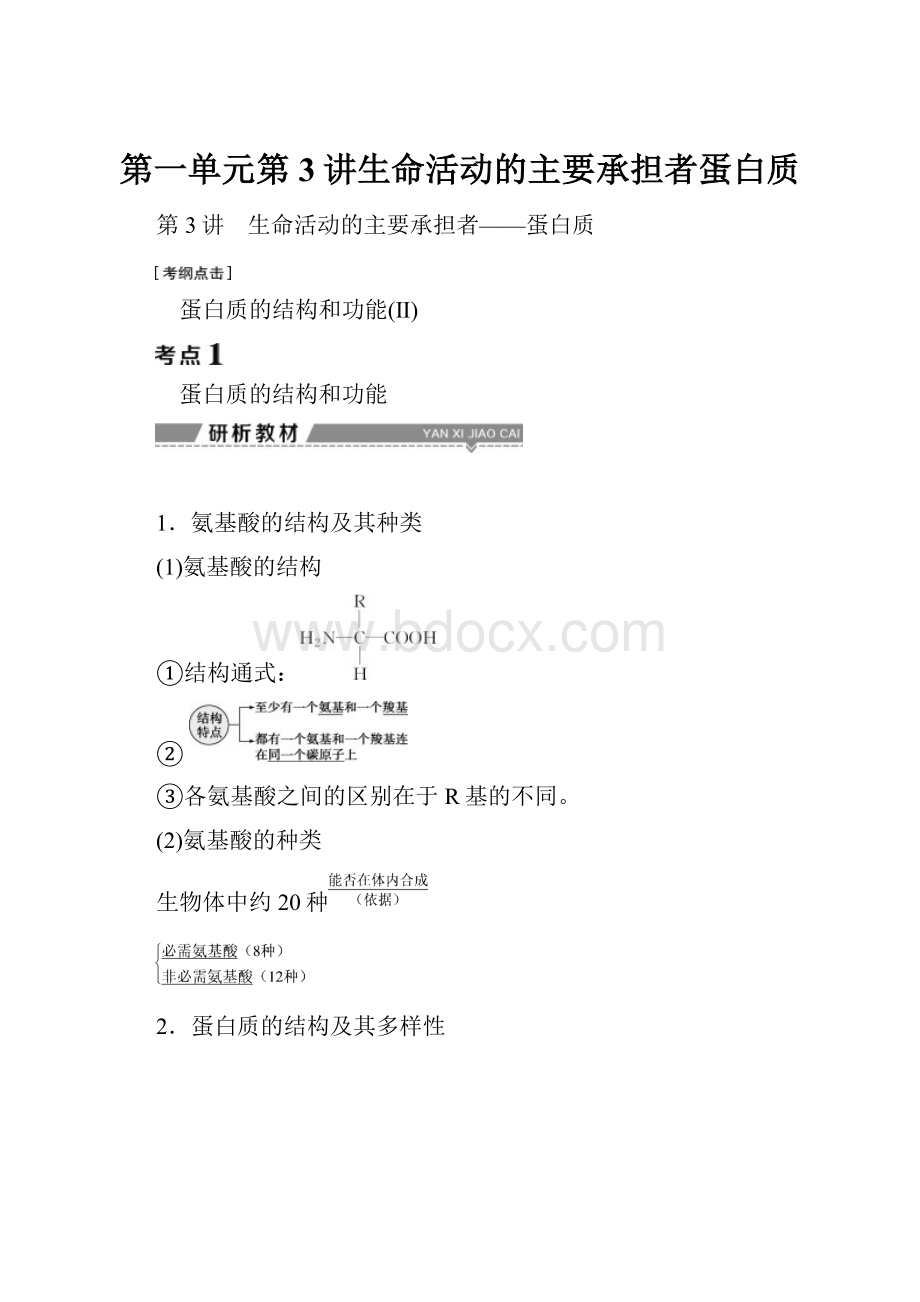 第一单元第3讲生命活动的主要承担者蛋白质.docx_第1页