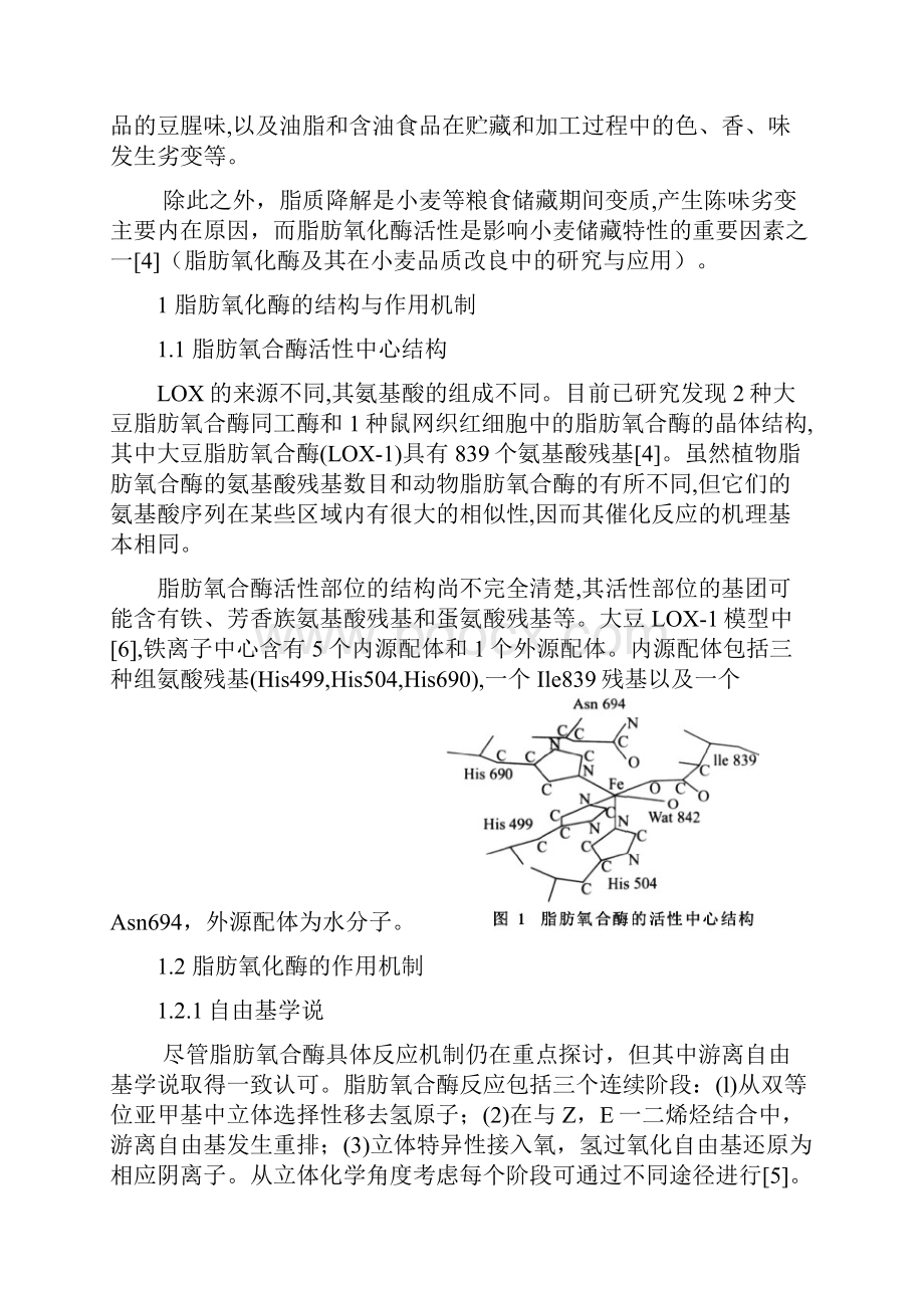 脂肪氧合酶及其对小麦品质的影响.docx_第2页