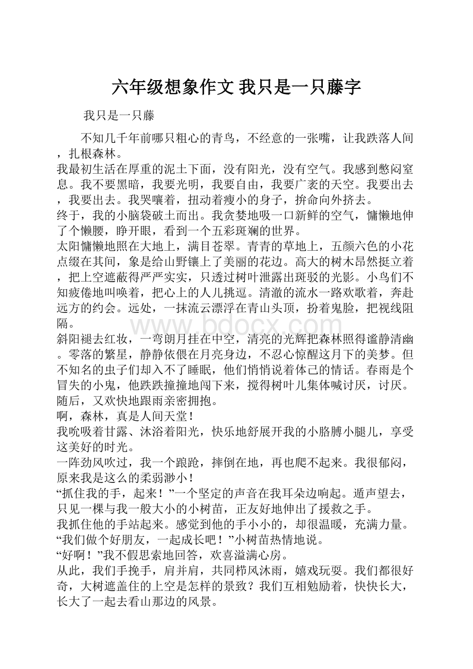 六年级想象作文我只是一只藤字.docx