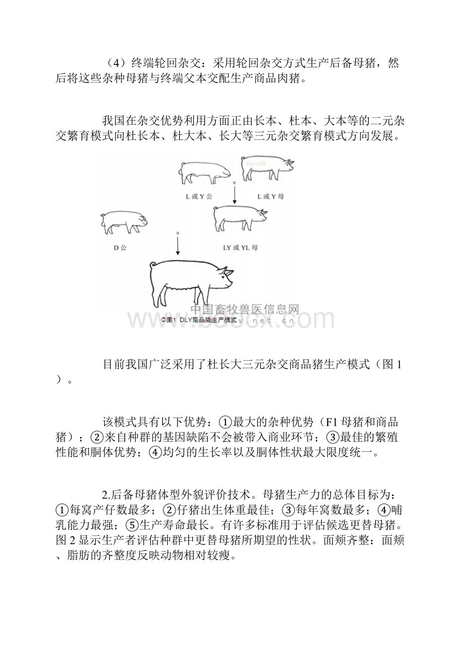 生猪养殖主推技术一.docx_第2页