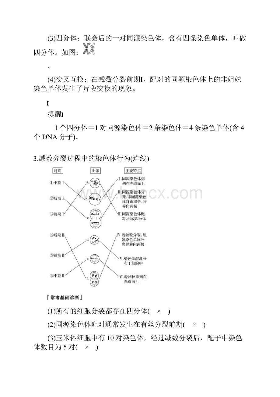 浙江选考版高考新导学大一轮复习第11讲减数分裂中的染色体行为讲义生物解析版.docx_第2页