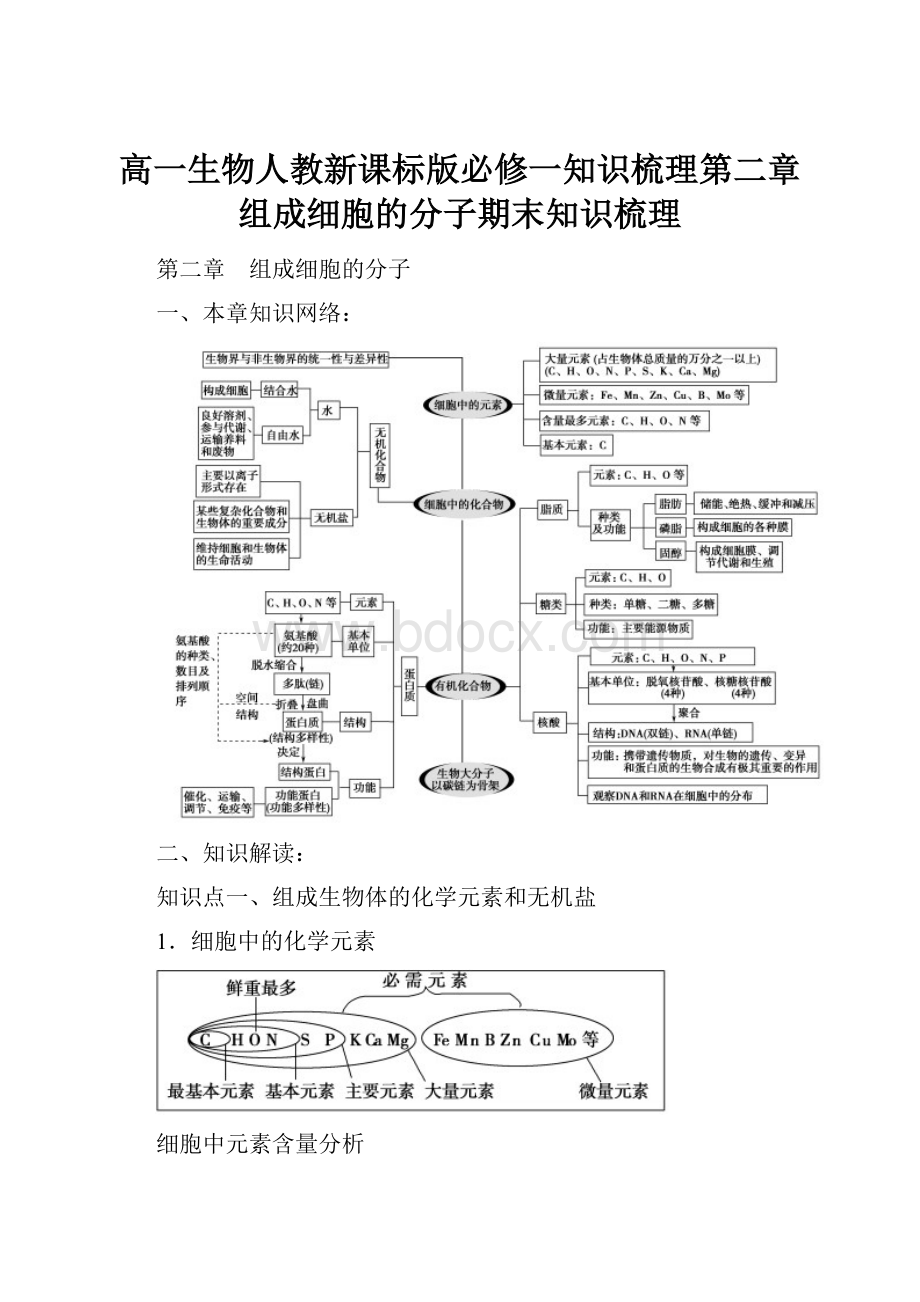 高一生物人教新课标版必修一知识梳理第二章组成细胞的分子期末知识梳理.docx