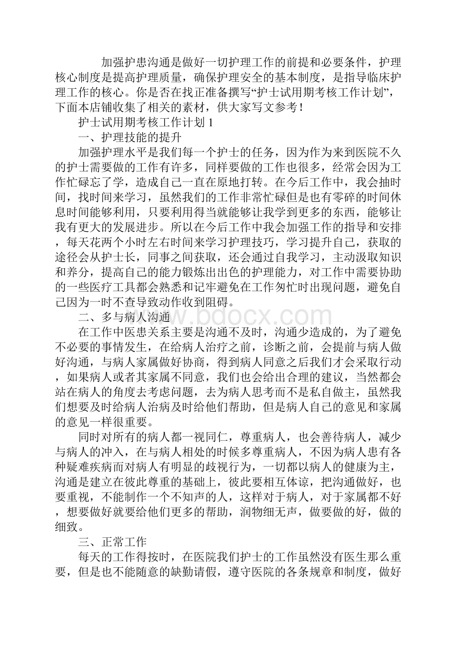 护士试用期考核工作计划.docx_第2页