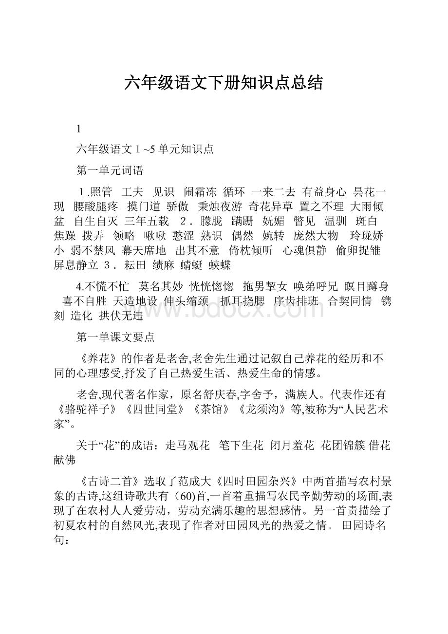 六年级语文下册知识点总结.docx_第1页